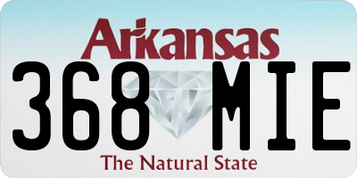 AR license plate 368MIE