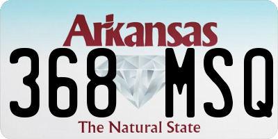 AR license plate 368MSQ