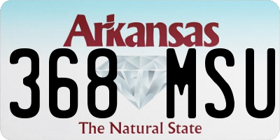 AR license plate 368MSU