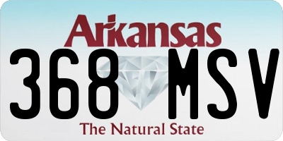 AR license plate 368MSV