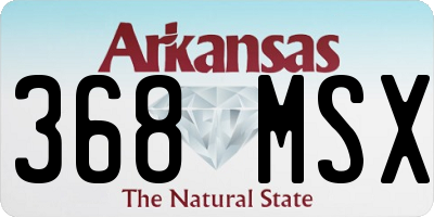 AR license plate 368MSX