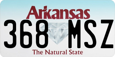 AR license plate 368MSZ