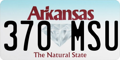 AR license plate 370MSU