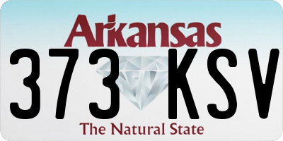 AR license plate 373KSV