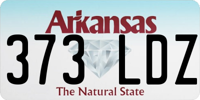 AR license plate 373LDZ