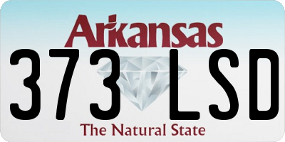 AR license plate 373LSD