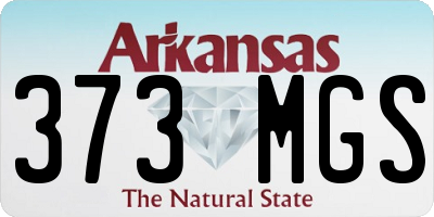 AR license plate 373MGS