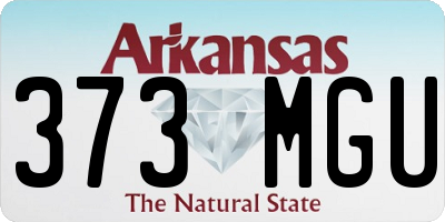 AR license plate 373MGU
