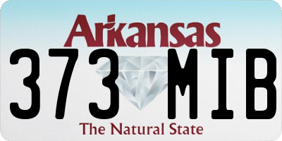 AR license plate 373MIB