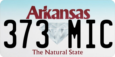 AR license plate 373MIC