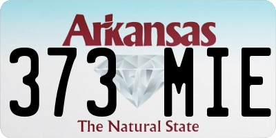 AR license plate 373MIE
