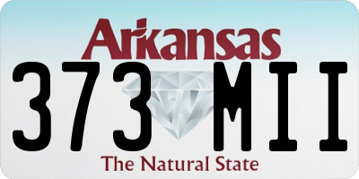 AR license plate 373MII