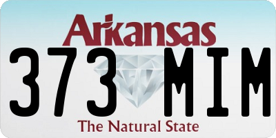 AR license plate 373MIM