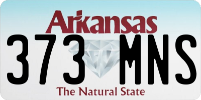 AR license plate 373MNS