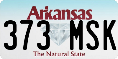AR license plate 373MSK
