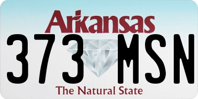 AR license plate 373MSN