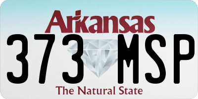 AR license plate 373MSP