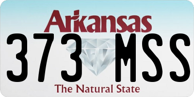 AR license plate 373MSS