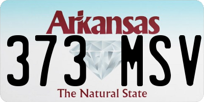AR license plate 373MSV