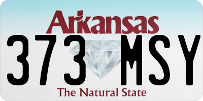 AR license plate 373MSY