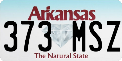 AR license plate 373MSZ