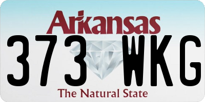 AR license plate 373WKG