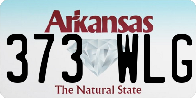 AR license plate 373WLG