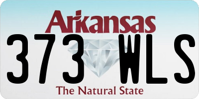 AR license plate 373WLS