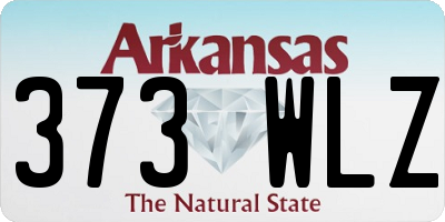AR license plate 373WLZ