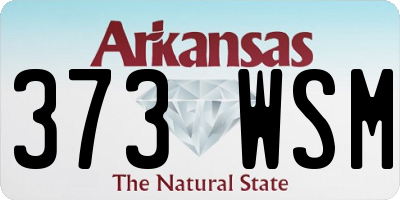 AR license plate 373WSM