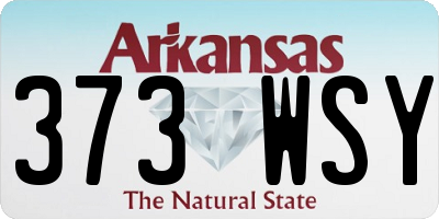 AR license plate 373WSY