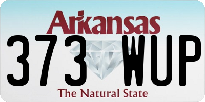 AR license plate 373WUP