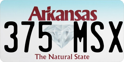 AR license plate 375MSX
