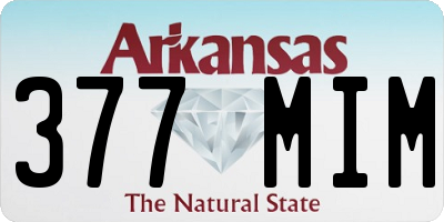 AR license plate 377MIM