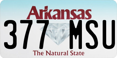 AR license plate 377MSU
