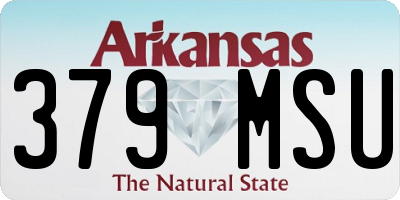 AR license plate 379MSU