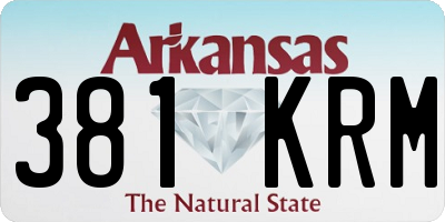 AR license plate 381KRM
