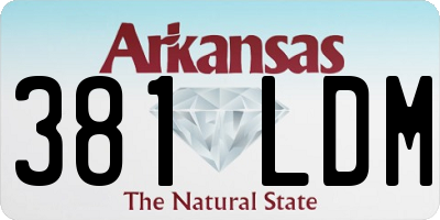 AR license plate 381LDM