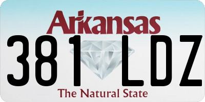 AR license plate 381LDZ