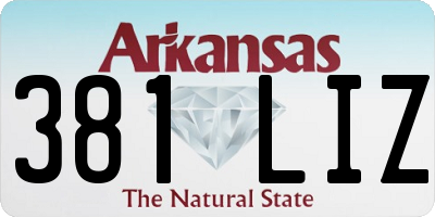 AR license plate 381LIZ