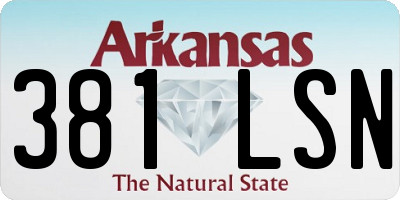 AR license plate 381LSN