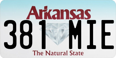 AR license plate 381MIE