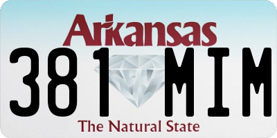 AR license plate 381MIM