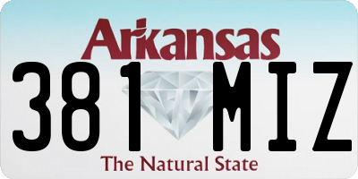 AR license plate 381MIZ