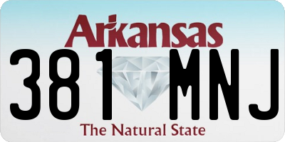 AR license plate 381MNJ