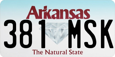 AR license plate 381MSK