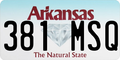 AR license plate 381MSQ