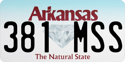 AR license plate 381MSS