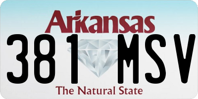 AR license plate 381MSV