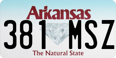 AR license plate 381MSZ